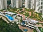 Apartamento Alto Padrão - Aluguel - Tamboré - Santana de Parnaíba - SP